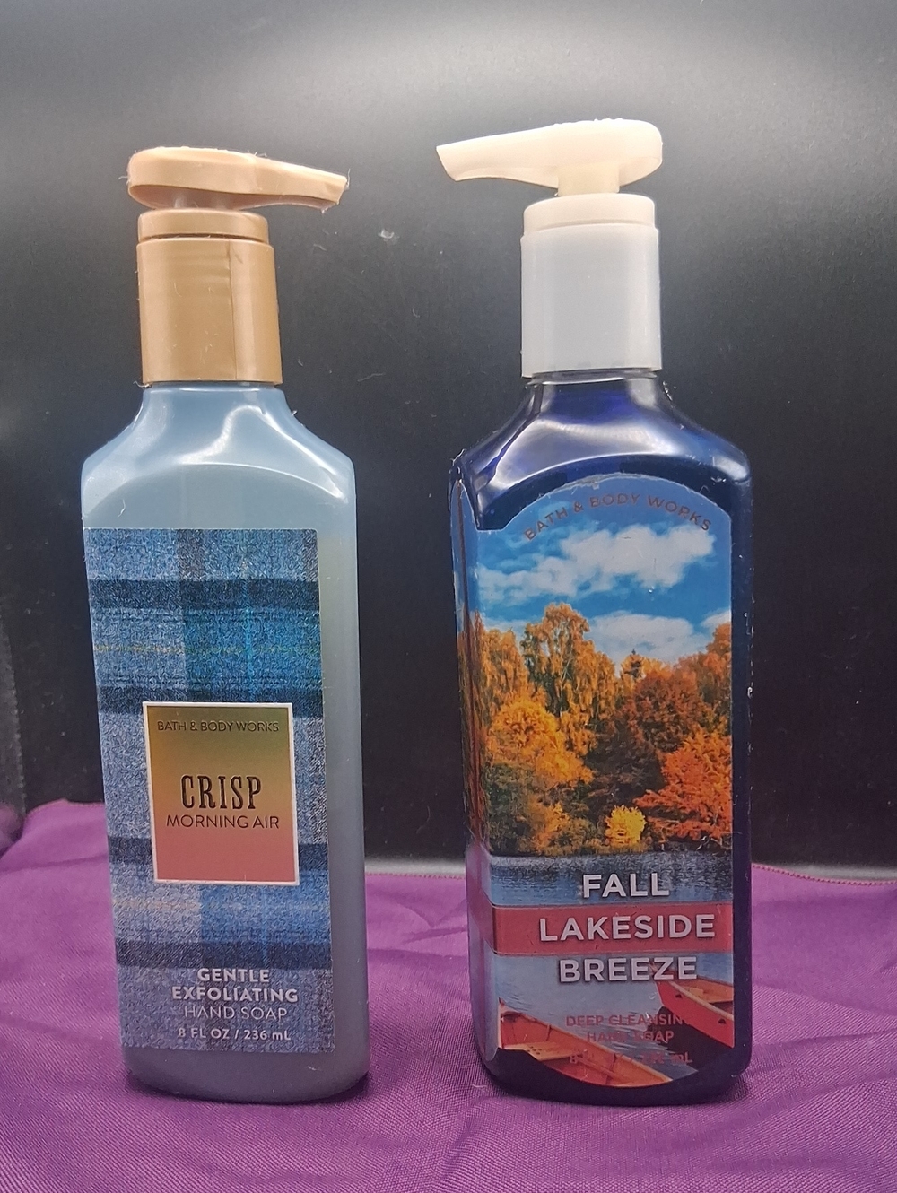 Bath&BodyWorks Crisp Morning Air Gentle Exfoliating Hand Soap&Fall Lakeside